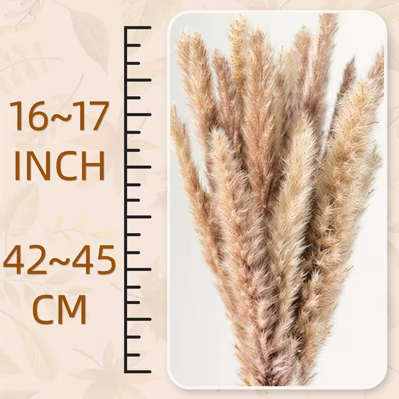 615-Piece Pampas Grass Decor Bouquet – Boho Dried Floral Arrangement