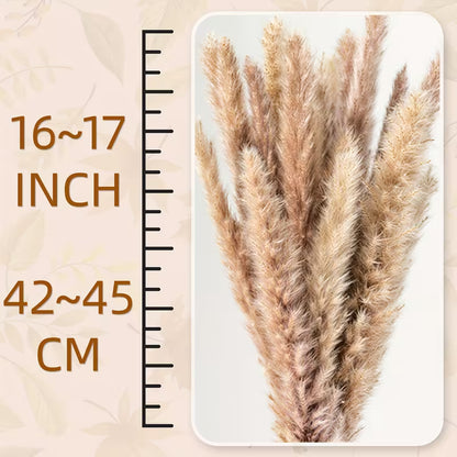 615-Piece Pampas Grass Decor Bouquet – Boho Dried Floral Arrangement