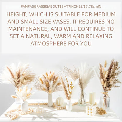 615-Piece Pampas Grass Decor Bouquet – Boho Dried Floral Arrangement